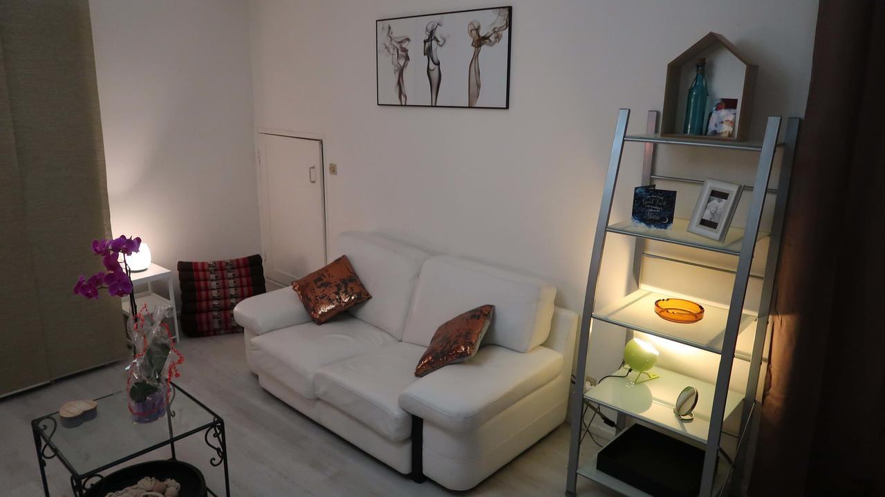 La Cour Victoria - Vosges Place & St Dizier St -27M2 น็องซี ภายนอก รูปภาพ